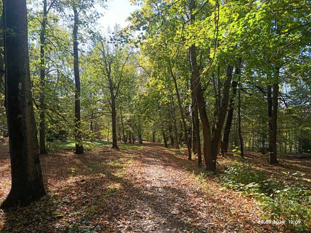 Наш санаторий. Осень 9