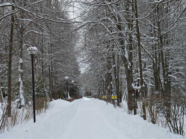 Наш санаторий. Зима 5