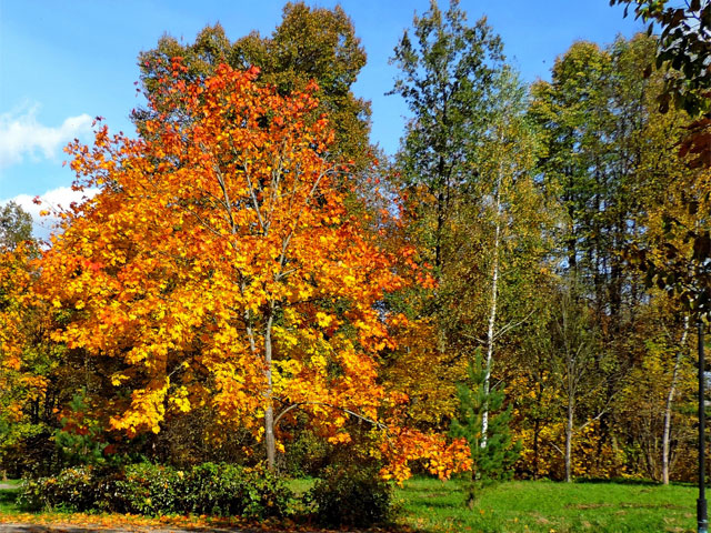 Наш санаторий. Осень