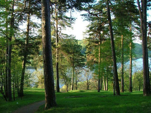 Наш санаторий 1